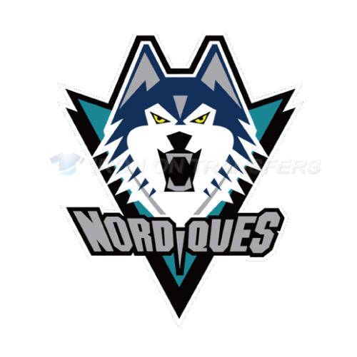 Quebec Nordiques Iron-on Stickers (Heat Transfers)NO.7145